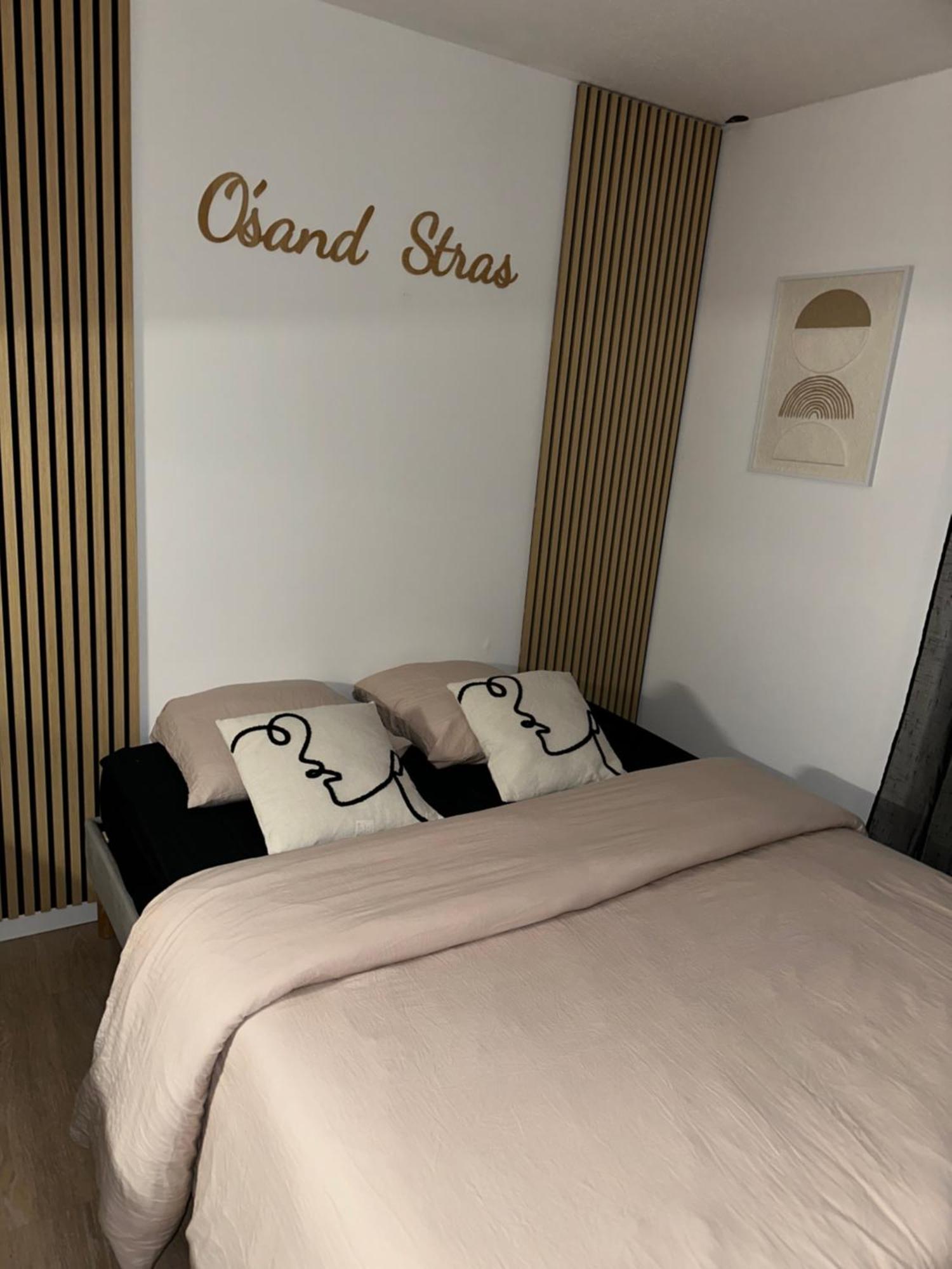 O Sand Stras Studio 25M Carre 斯特拉斯堡 外观 照片
