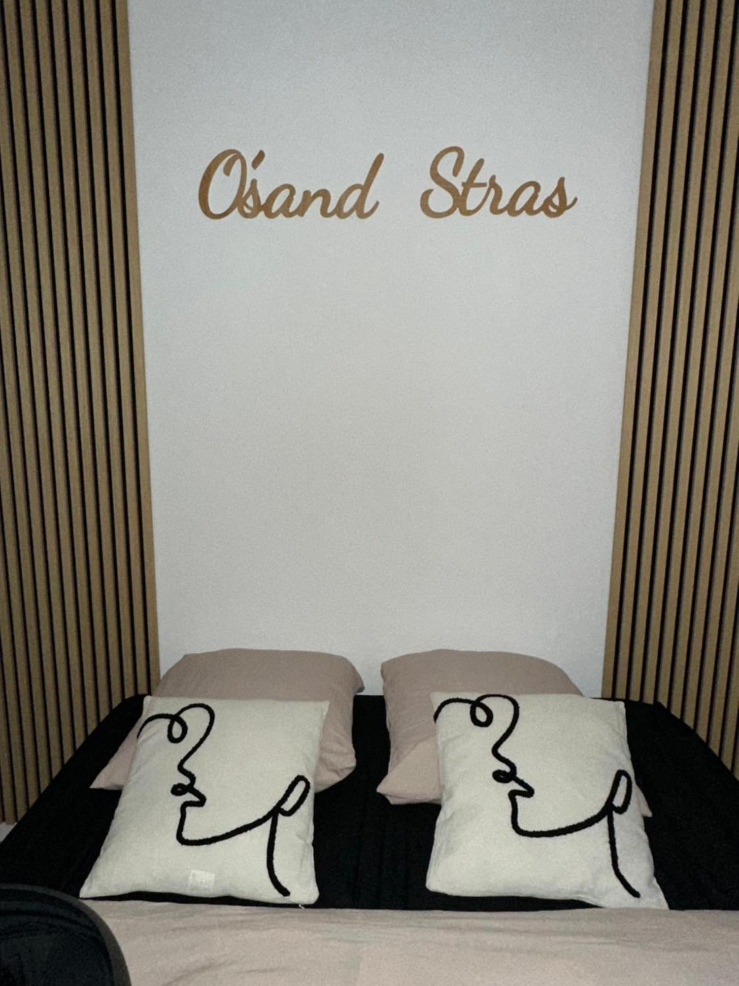 O Sand Stras Studio 25M Carre 斯特拉斯堡 外观 照片